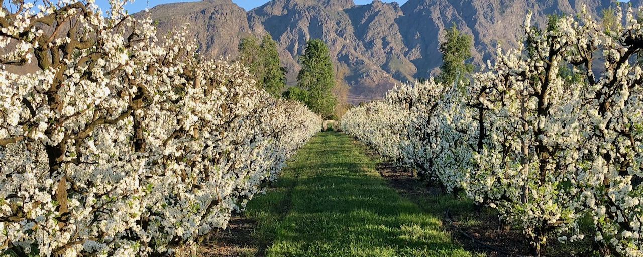 Farm stay in Franschhoek