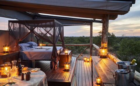 Giraffe's Nest Hide