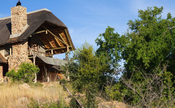 pauls hideaways timbavati self catering lodge motswari hideaways