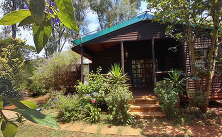 Ibis Chalet