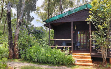 Hornbill Chalet