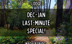 🎉 Dec-Jan Special! 🎉