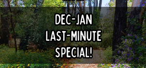🎉 Dec-Jan Special! 🎉