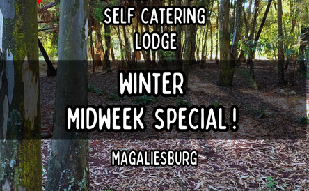 🎉 Winter Midweek Special! 🎉