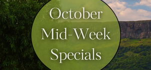 October mid-week special! ✨️🐾 