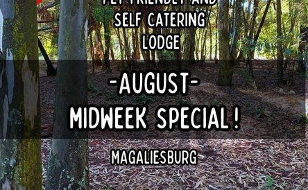 🎉 August Midweek Special! 🎉