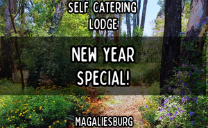 🎉 Jan Special! 🎉