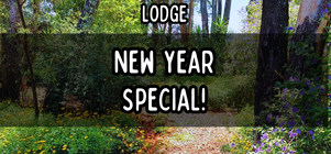 🎉 Jan Special! 🎉