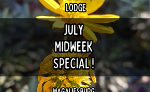 🎉 July Holidays Midweek Special 🎉 