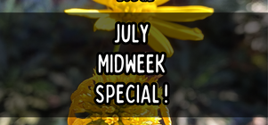 🎉 July Holidays Midweek Special 🎉 