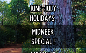 🎉 June-July Holidays Midweek Special 🎉 