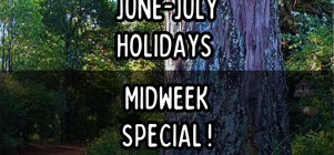 🎉 June-July Holidays Midweek Special 🎉 