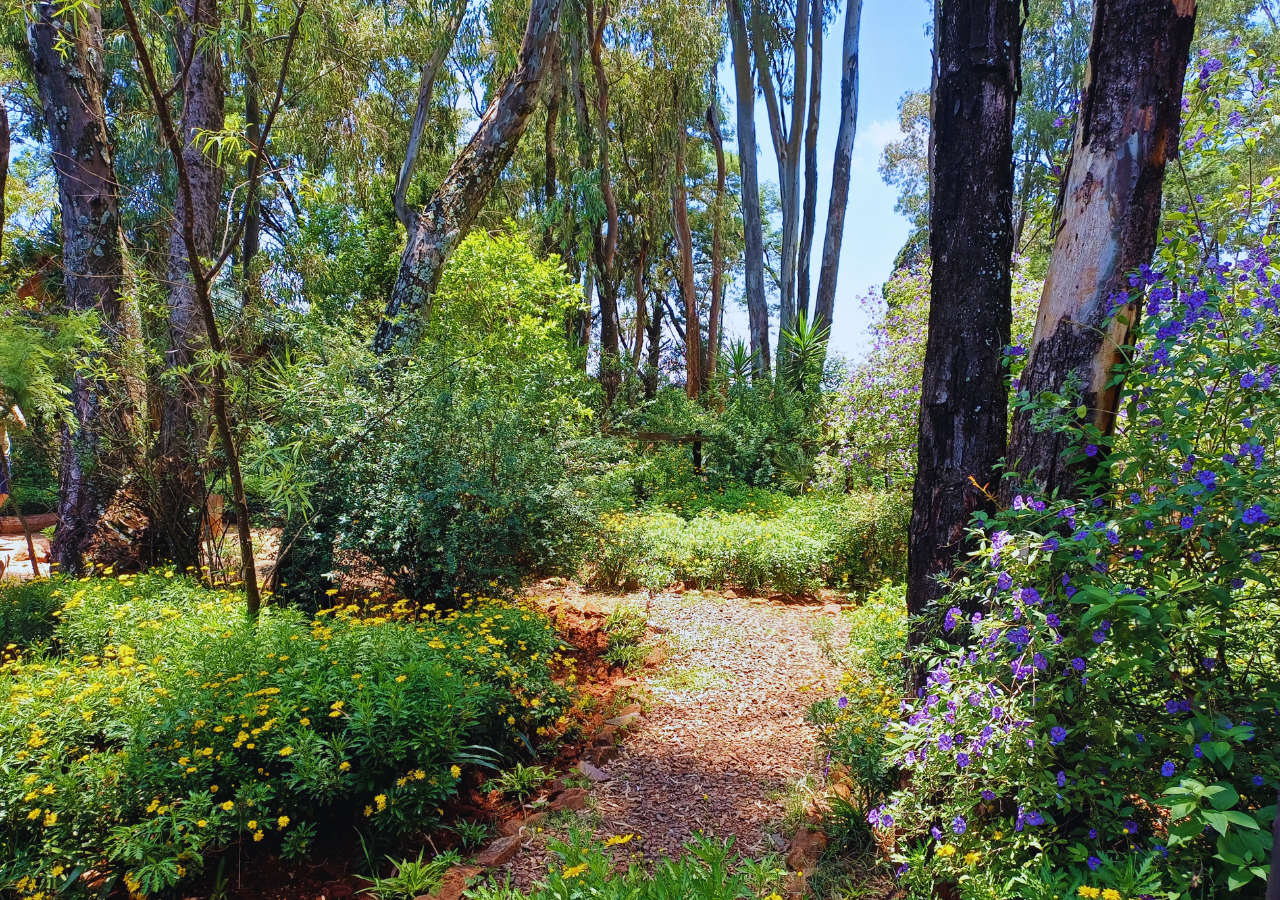 Pet Friendly and Self Catering Lodge in Magaliesburg