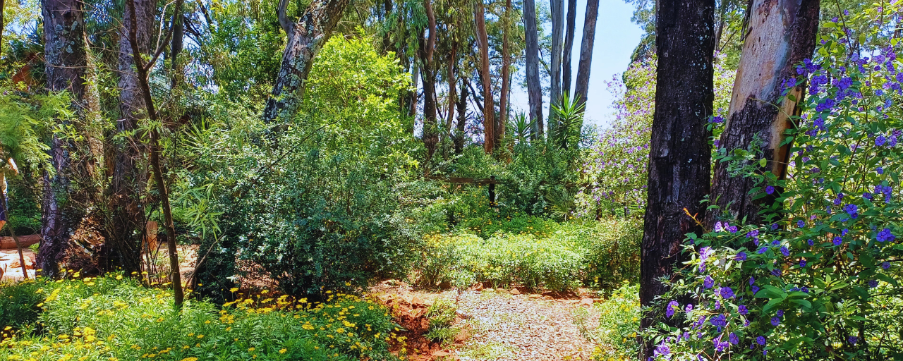 Pet Friendly and Self Catering Lodge in Magaliesburg