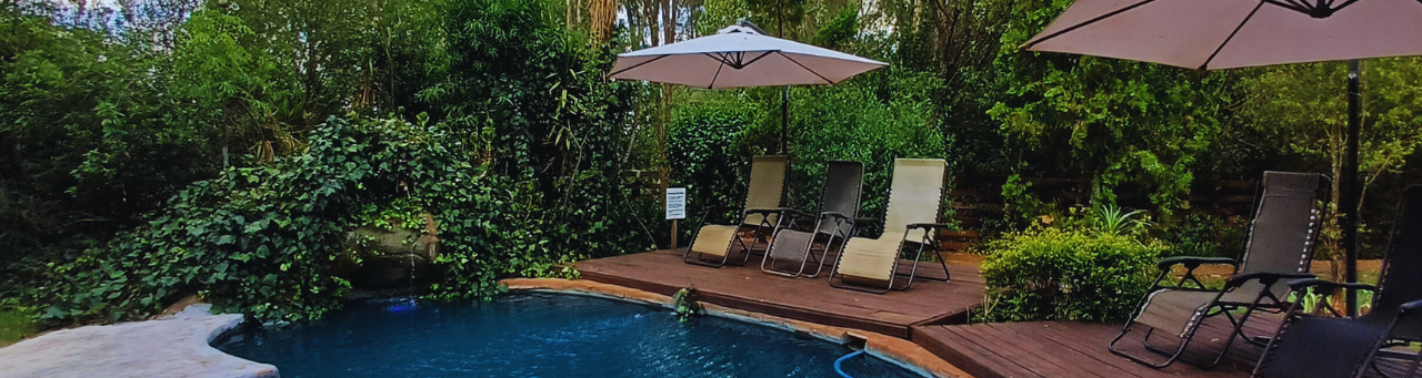 Guest Reviews