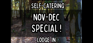 🎉Nov-Dec Special 🎉