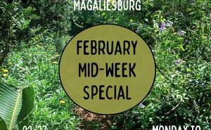  15% off this February with our mid-week special! 🎉