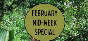  15% off this February with our mid-week special! 🎉