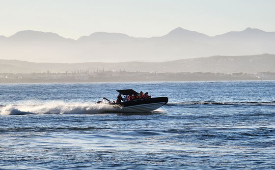 Fearless Speedboat 
