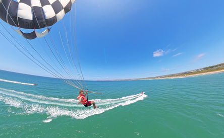 White Shark Parasailing