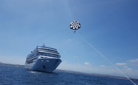 White Shark Parasailing