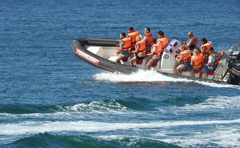 Fearless Speedboat