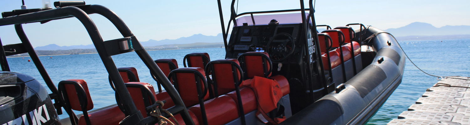 Speed Boat Trip
