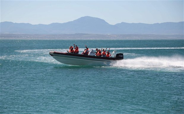 Fastest Speedboat trip on the Indian Ocean along Mossel Bay Coastline, Garden Route with Mossel Bay Boat Adventuresn Fastest Speedboat trip on the Indian Ocean along Mossel Bay Coastline, Garden Route with Mossel Bay Boat Adventuresn