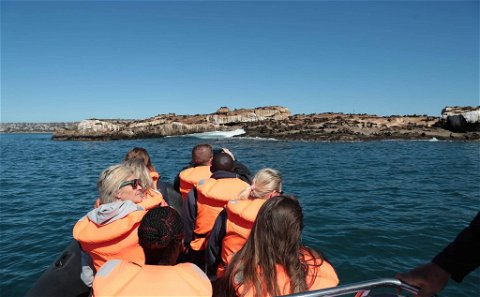 Seal Island Family Trips