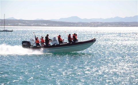 Fastest Speedboat trip on the Indian Ocean along Mossel Bay Coastline, Garden Route with Mossel Bay Boat Adventuresn