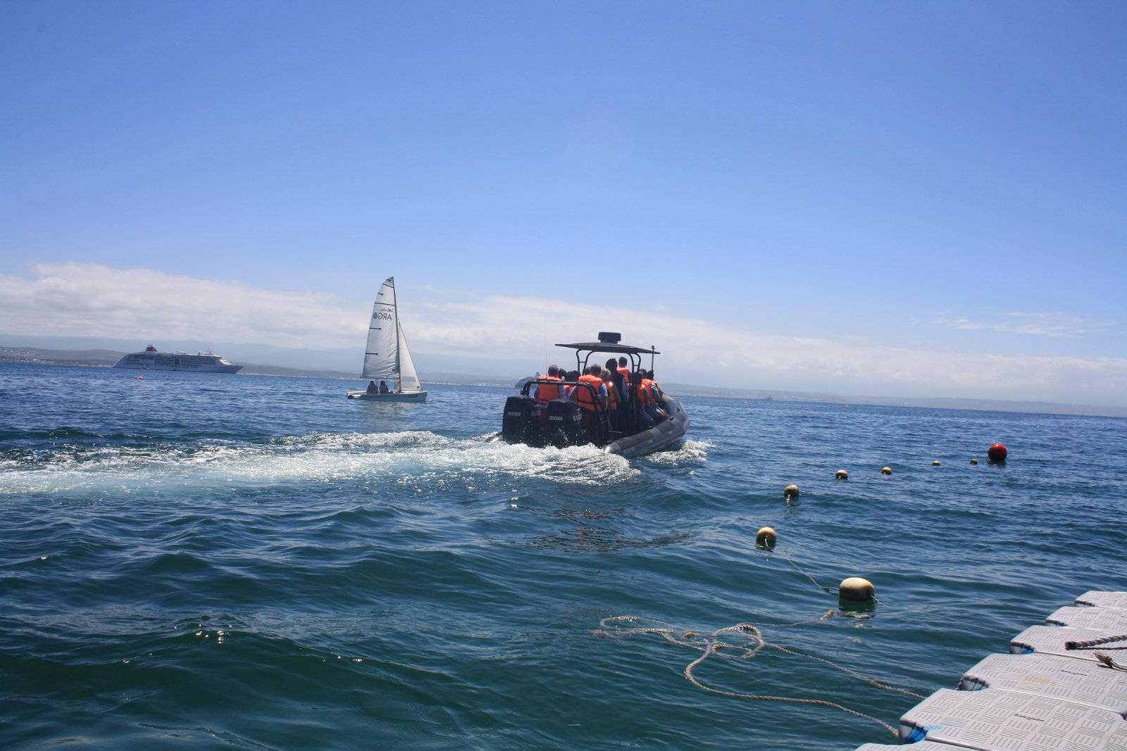 Mossel Bay Boat Adventures