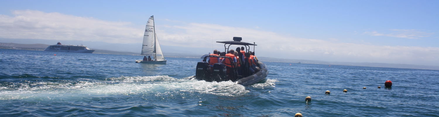 Mossel Bay Boat Adventures