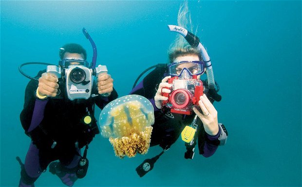 Divers enjoying a photo adventure dive Divers enjoying a photo adventure dive