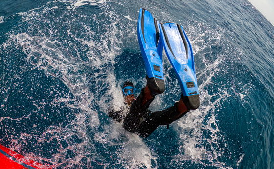 PADI Open Water SCUBA Diver Course