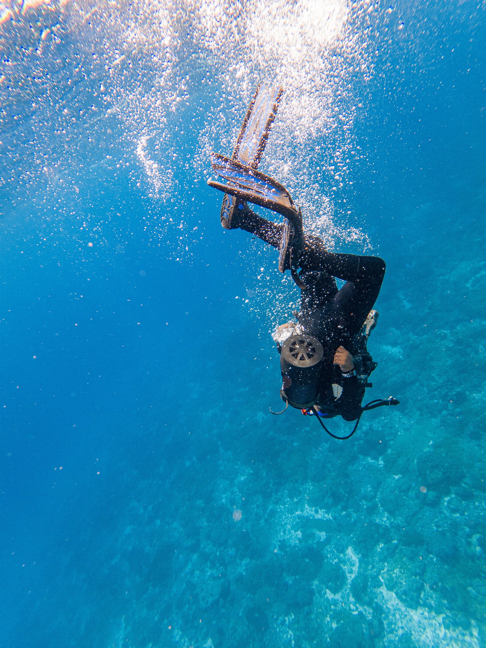 diver doing his PADI Scuba diving course
