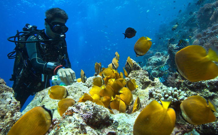 PADI SCUBA Diver Course