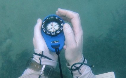 Adventure diving in Zanzibar