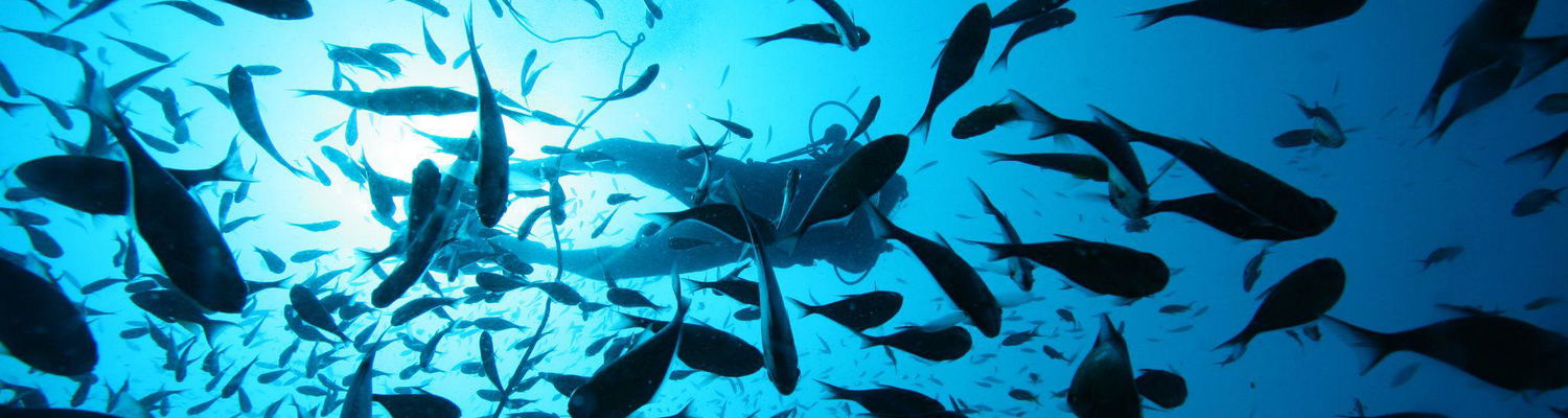 PADI Adventure Diver