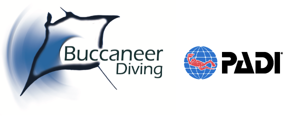Dive Zanzibar | Buccaneer Diving | PADI 5 Star IDC Centre
