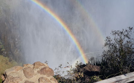Guided Tour of the Falls (Zimbabwean side)