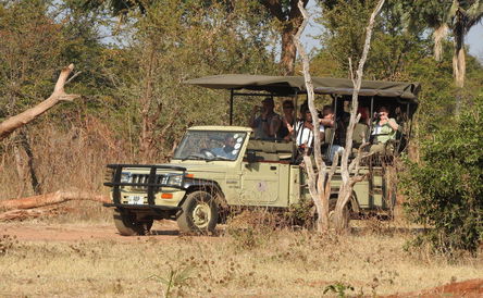 Game Drives in Mosi-O-Tunya National Park