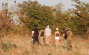 Nature Walking Safaris