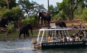 River Safaris