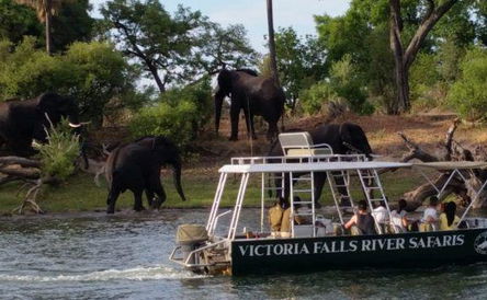 River Safaris