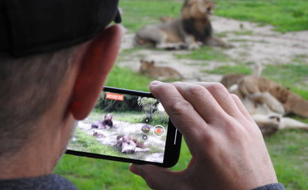 "Discover Chobe in Style: Unbeatable Deals from Luciano Tours"