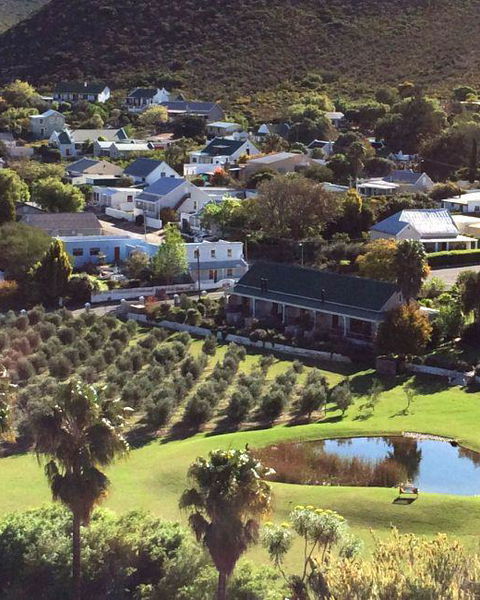 Montagu Vines Guesthouse on Route 62