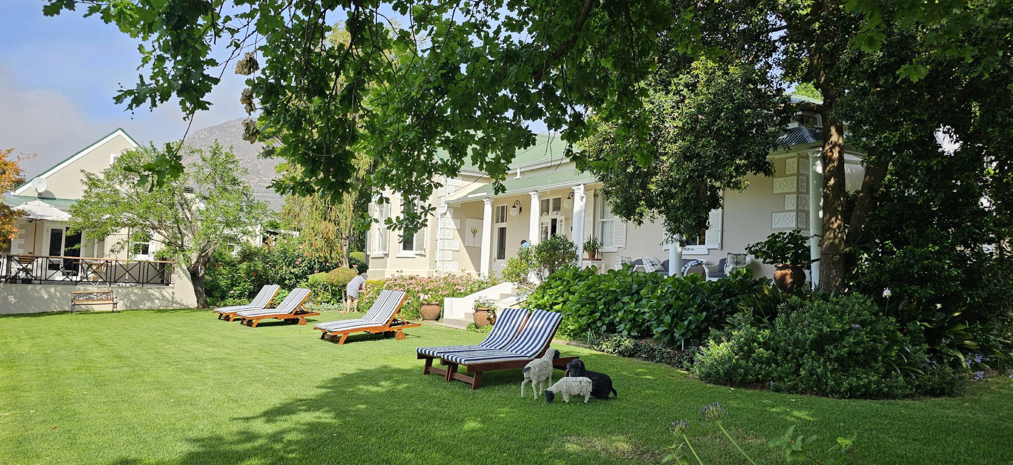 Montagu Vines Guesthouse