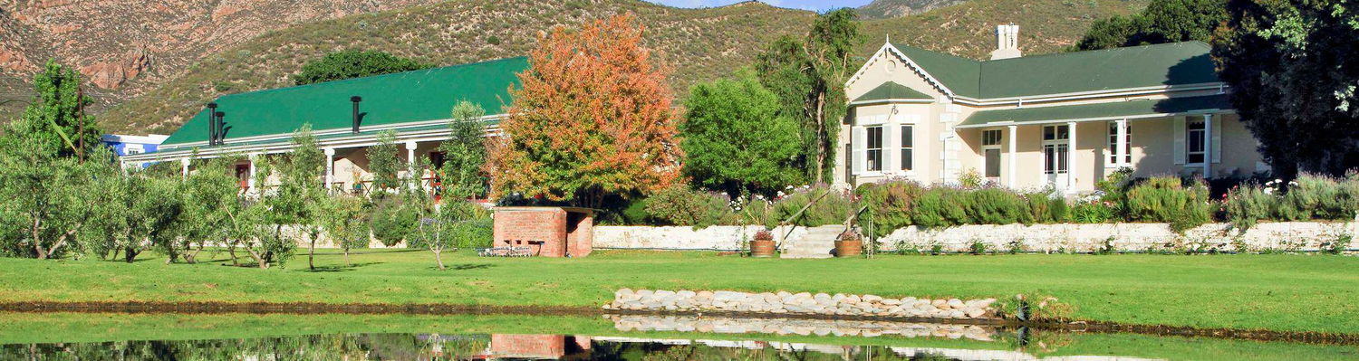 Montagu Vines Guesthouse
