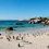 Can You Swim with Penguins at Boulders Beach? What to Expect