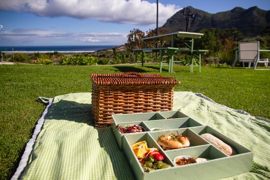 Picnic basket and food on a lawn beside the coast